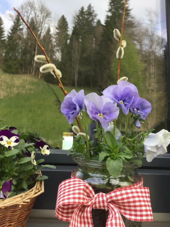 Apartment Nest Sibratsgfäll Eksteriør billede